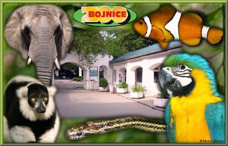 zooo.jpg
