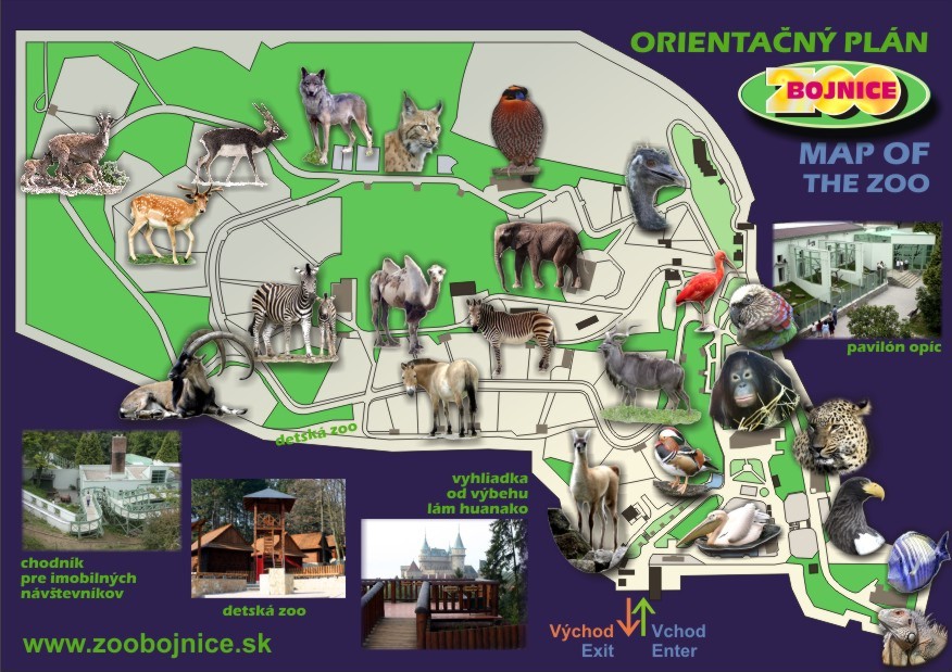 zoo mapa.jpg