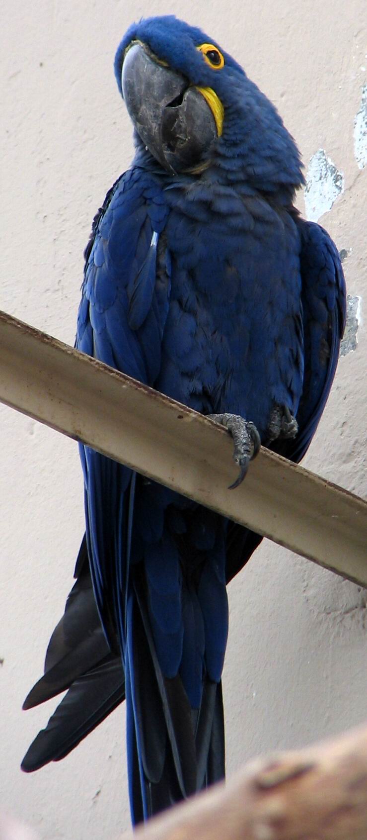 125.jpg